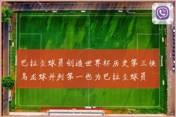 巴拉圭球员创造世界杯历史第三快乌龙球并列第一也为巴拉圭球员